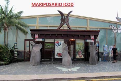 Apartamento Vistas De Icod Icod De Los Vinos Exterior photo